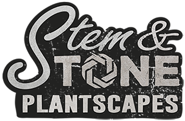 Stem and Stone Plantscapes